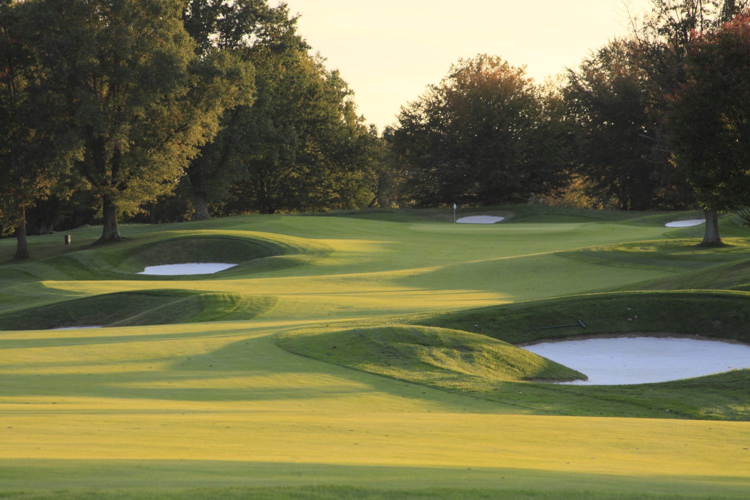 Sunberry-Golf-Club-Course-2